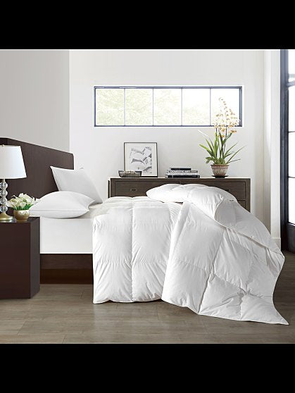 569.00 ALLORA KING CMFRTR